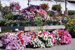 DSC00169.JPG